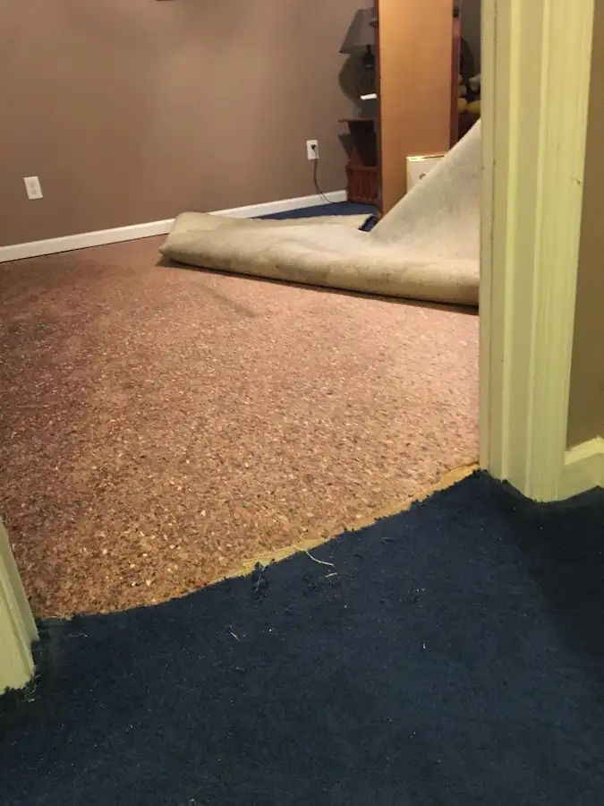Carpet pad removal revealing water damage during Water Mitigation Services in Little Silver